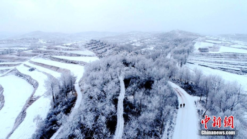甘肅定西現霧凇美景 黃土塬似“瓊樓玉宇”