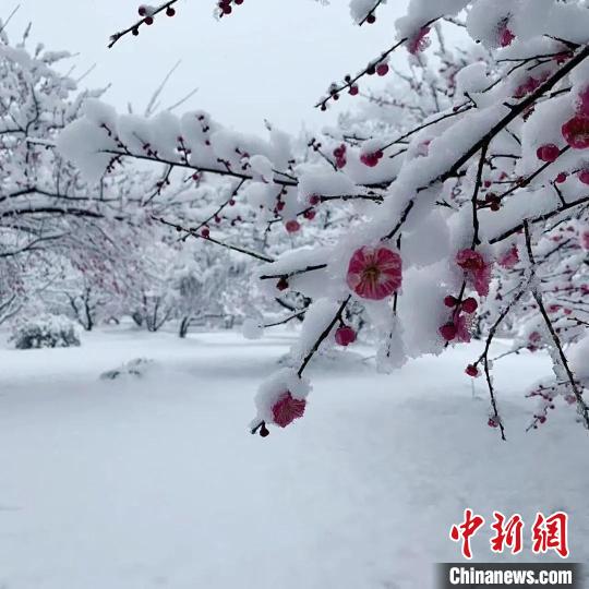 安徽近70家旅游景區(qū)因雪天臨時關(guān)閉