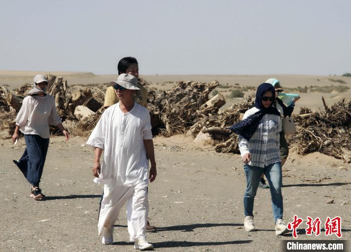 近日，臺(tái)北書院山長林谷芳受訪，談兩岸民間以視頻互致新春問候的現(xiàn)象。圖為林谷芳疫情前在敦煌考察?！×止确枷壬﹫D