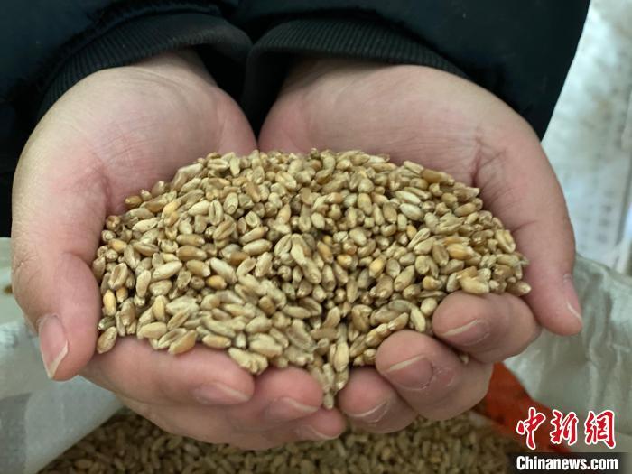 點(diǎn)擊進(jìn)入下一頁