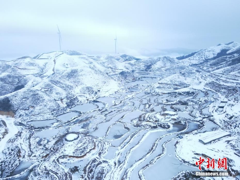 廣西摩天嶺出現雪嶺云海景觀