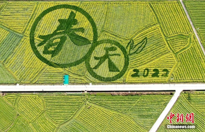 湖南資興:“春日”田園畫卷