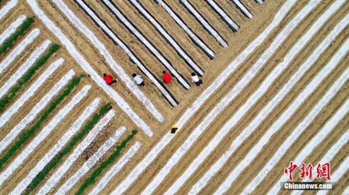 點(diǎn)擊進(jìn)入下一頁