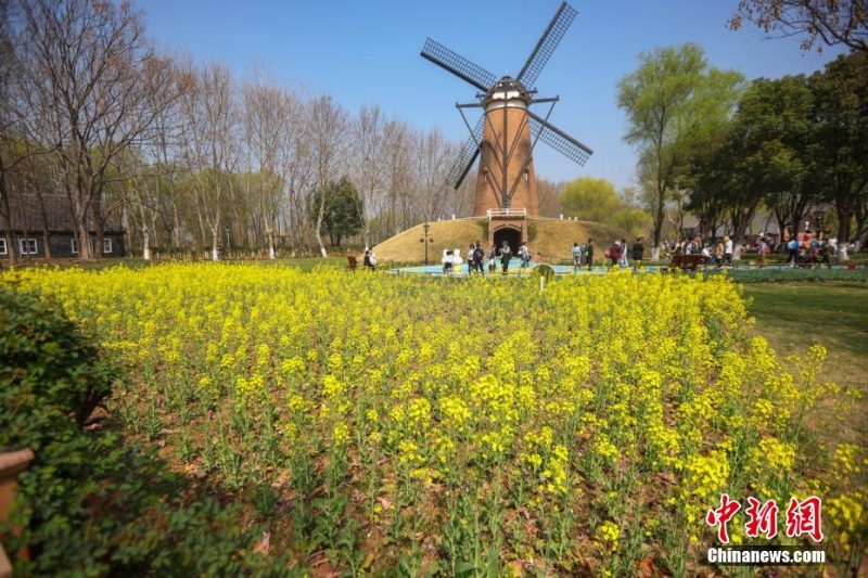 古都南京花紅柳綠春意盎然