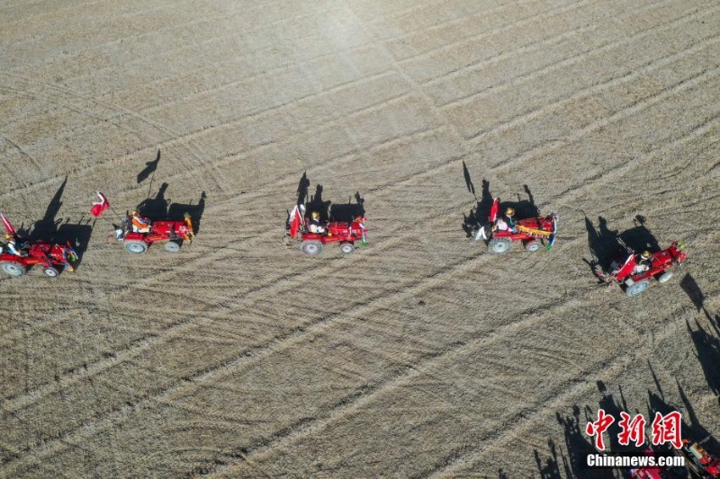 西藏拉薩:春耕第一犁