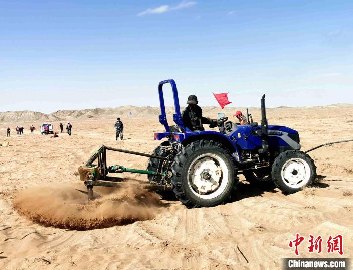 圖為治沙工人正在工作?！●R愛彬 攝