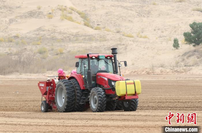 村民正在馬鈴薯種植基地內(nèi)忙碌?！∮诰?攝