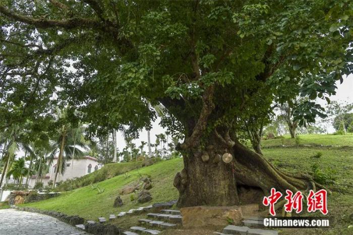 點擊進入下一頁