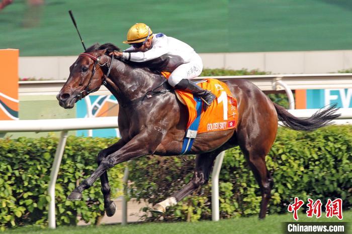 香港馬王“金槍六十”刷新香港賽駒的頭馬紀(jì)錄，并成為香港歷來累積最多獎(jiǎng)金的賽駒?！∠愀圪愸R會(huì) 攝