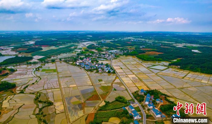 遠遠望去，猶如一幅幅美麗的畫卷?！≮w春亮 攝