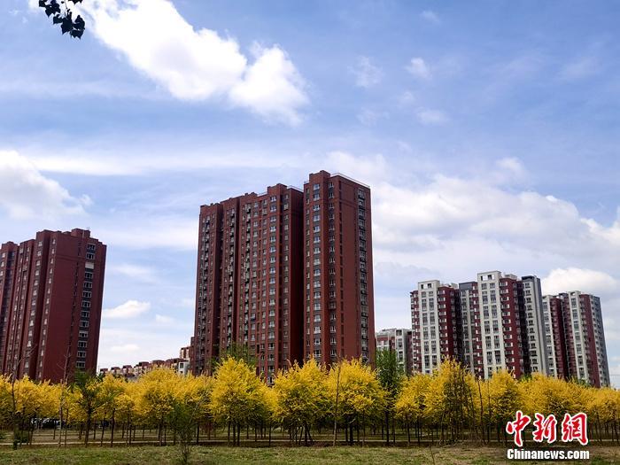 資料圖。<a target='_blank' href='/' >中新網(wǎng)</a>記者 李金磊 攝
