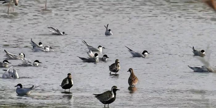 點(diǎn)擊進(jìn)入下一頁(yè)