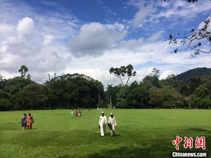 圖為主題展展出的攝影作品。　主辦方供圖