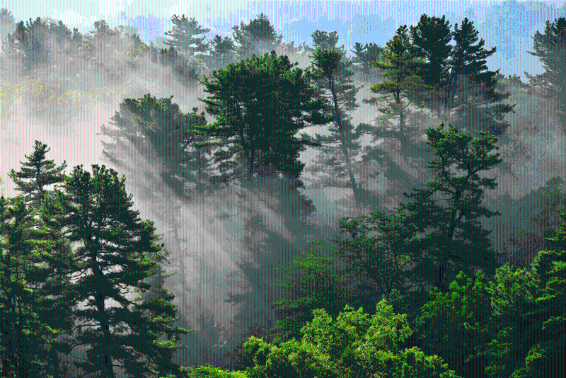 點擊進(jìn)入下一頁