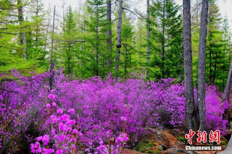 點擊進(jìn)入下一頁