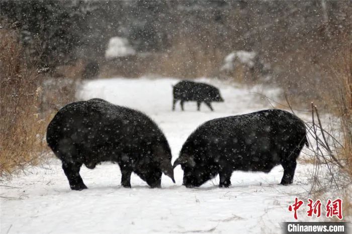 點擊進(jìn)入下一頁