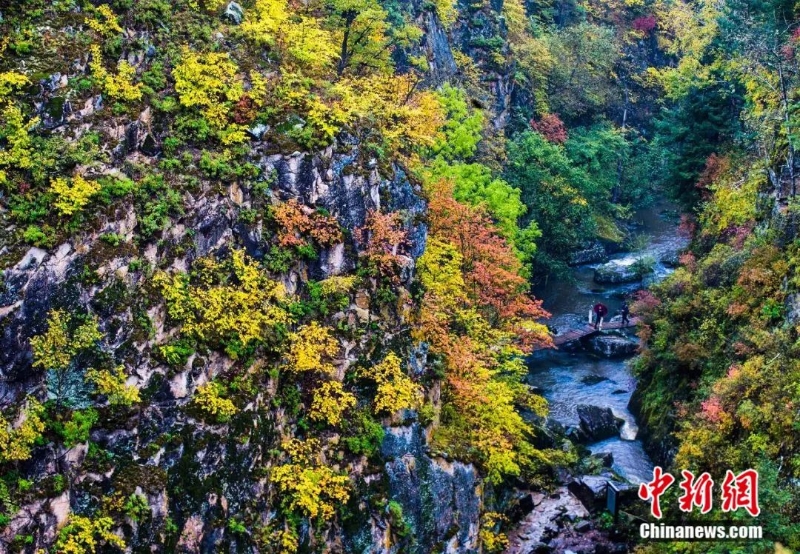 點擊進(jìn)入下一頁