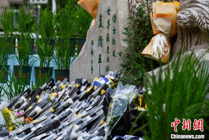 5月22日，在西南大學校園內的袁隆平雕像被鮮花、水稻植株圍繞?！『闻罾?攝