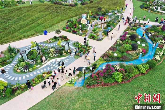 游客前來賞花打卡。　何光民 攝