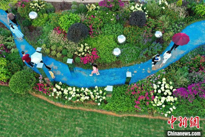 游客徜徉在花境作品間。　何光民 攝