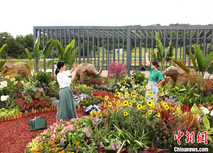 游客拍照留影?！『喂饷?攝