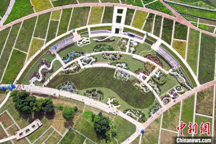 花境展現(xiàn)場像一把美麗的折扇。　何光民 攝