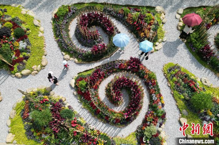 游客徜徉在花境作品間?！『喂饷?攝