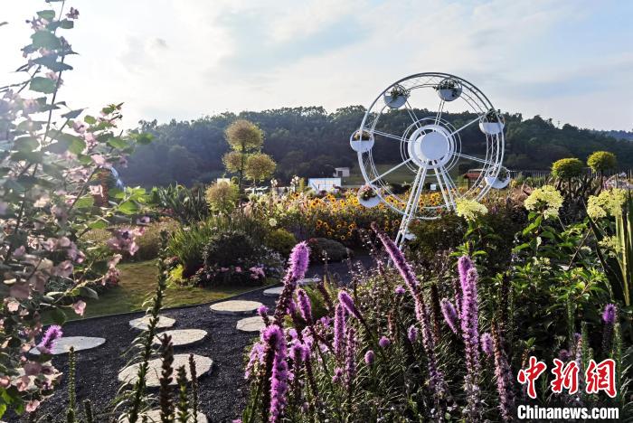 花境造型：幸?；ㄕZ?！『喂饷?攝