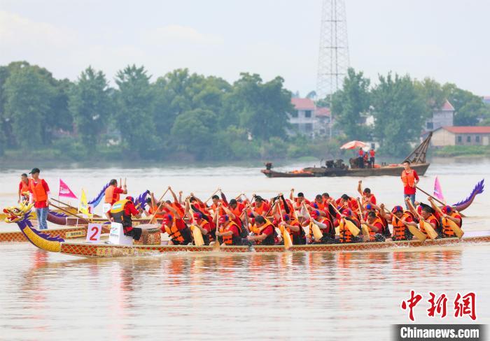 江西萬安:贛江之上鼓聲起龍舟競(jìng)渡“鬧”端午