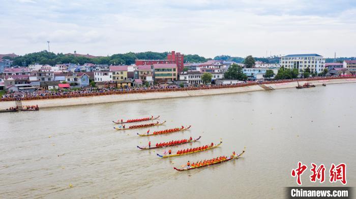 圖為無人機(jī)航拍參賽的龍舟隊(duì)伍在開闊的贛江上奮勇爭(zhēng)先，岸邊擠滿了前來觀賽的民眾?！∏裾?攝