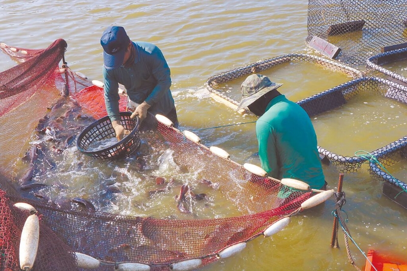 B04A00_P_01_02 B04A00_P_01_02