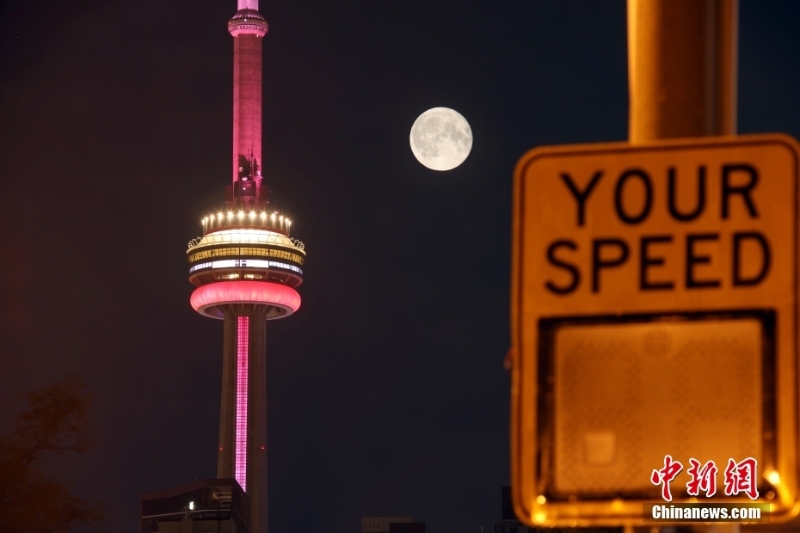 加拿大多倫多迎來(lái)“草莓超級(jí)月亮”