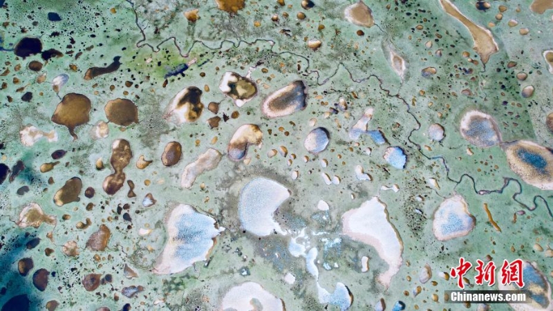 航拍長(zhǎng)江源區(qū)最大泥碳濕地——玉樹(shù)雜多查旦濕地