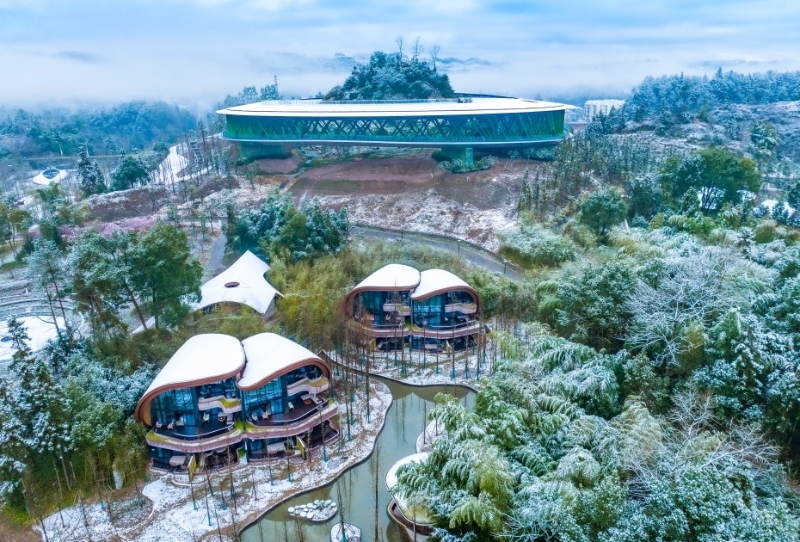 【我們的新時代】重慶南川:鄉(xiāng)村振興 原點啟航