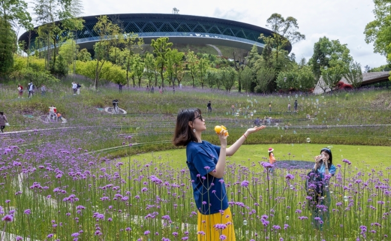 【我們的新時代】重慶南川:鄉(xiāng)村振興 原點啟航