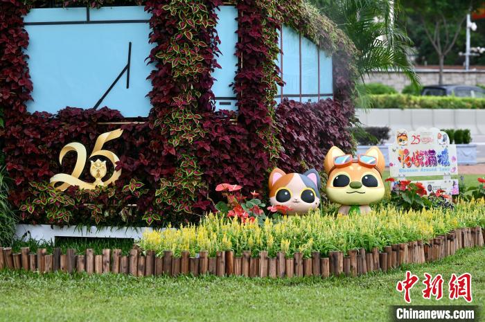 金鐘添馬公園的慶回歸25周年裝飾。　李志華 攝