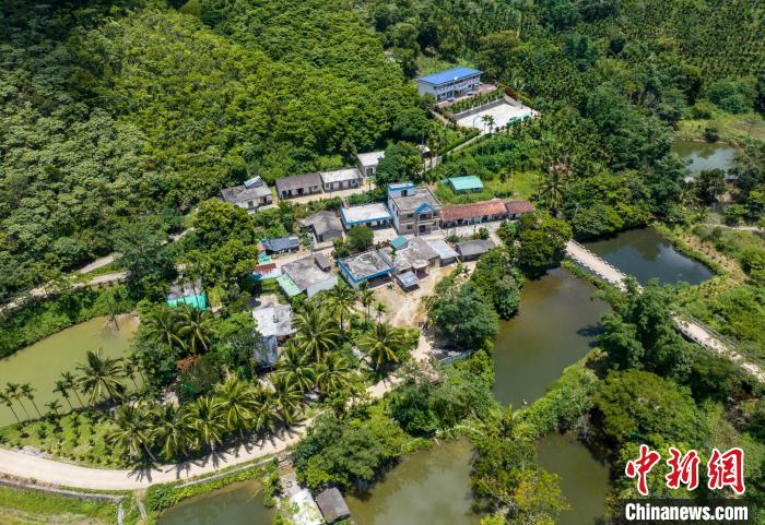 圖為航拍海南省保亭黎族苗族自治縣什玲鎮(zhèn)水賢村?！●樤骑w 攝
