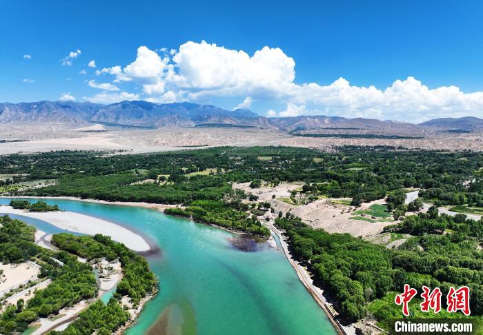航拍貴德縣黃河岸畔綠意盎然。　馬銘言 攝
