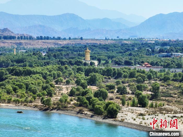 航拍貴德縣黃河岸畔綠意盎然?！●R銘言 攝
