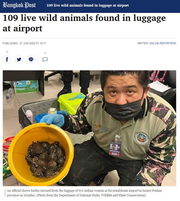 點擊進入下一頁