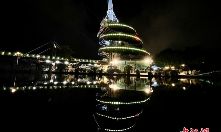 香港大埔海、陸、空匯演慶回歸
