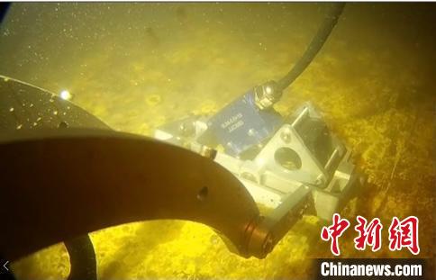 機(jī)器人水下視角。　哈工程提供