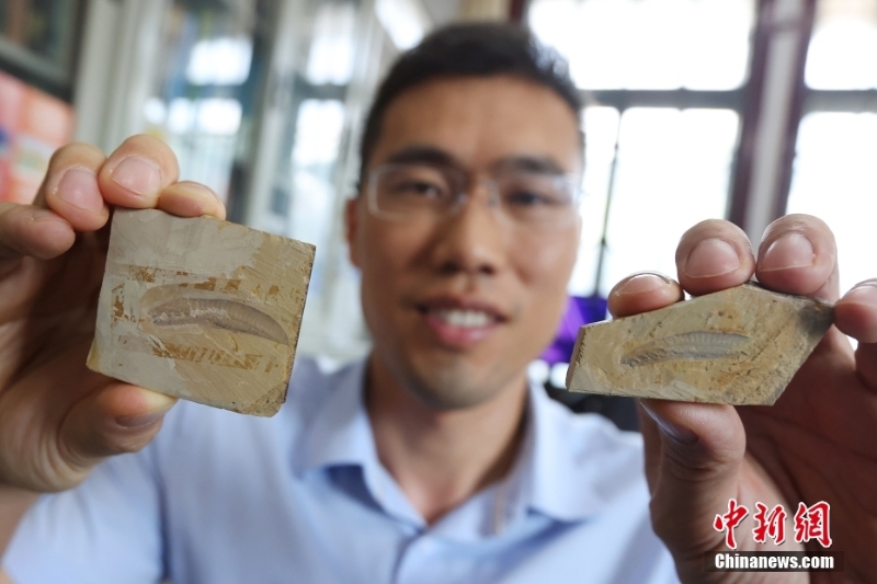 中國科學(xué)家發(fā)現(xiàn)迄今為止最原始脊椎動物