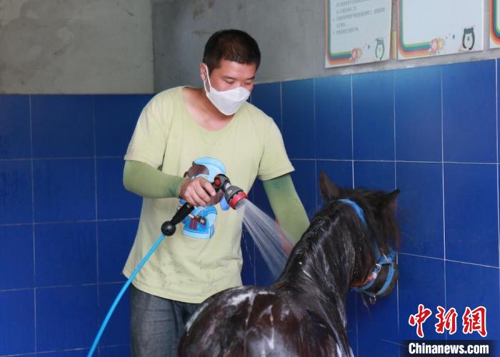 為矮馬沖個(gè)澡?！≈旌?攝