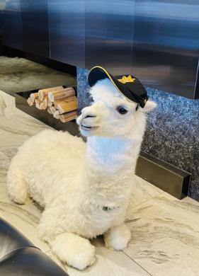 點擊進入下一頁