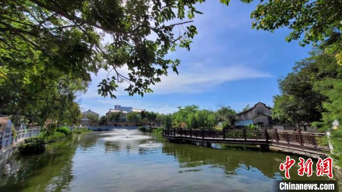 圖為赤土社村口公園。　葉藝琳 攝