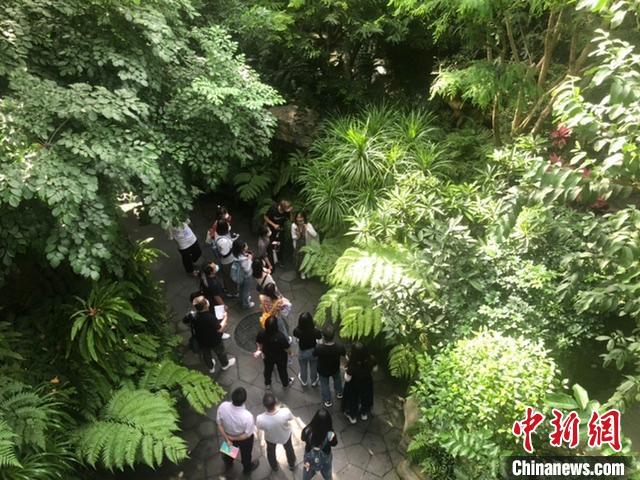 “爭(zhēng)先崛起看中部”——第十七屆全國(guó)網(wǎng)絡(luò)媒體山西行采訪團(tuán)在熱帶雨林館聽(tīng)取講解?！±钔ヒ?攝