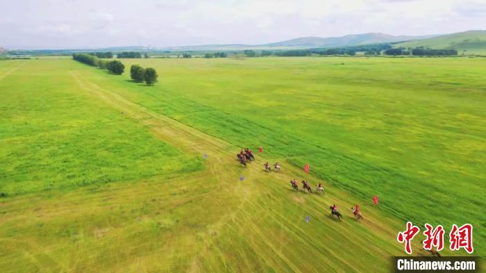 圖為呼倫貝爾草原上奔馳的駿馬。　歐戈 攝
