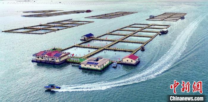 “中國大黃魚之鄉(xiāng)”蕉城區(qū)三都澳上的新型環(huán)保漁排?！〗冻菂^(qū)融媒體中心 供圖