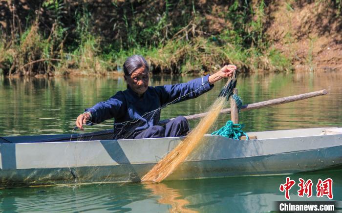 圖為唐二妹在放魚網(wǎng)?！钭谑?攝